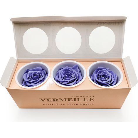 Rosa estabilizada - Uva - Uva intensa - XL - 3 unidades