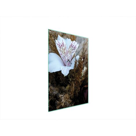 TABLA DE CORTAR DE VIDRIO 35x52 ORQUÍDEA (1/5)
