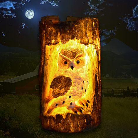 Lampe Solaire LED Étanche pour Jardin - Décoration Chouette - Lumière d'Extérieur - Cadeau de Noël (1/5)