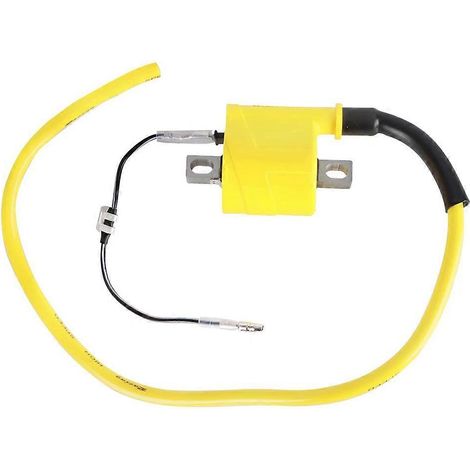 Bobine d'allumage universelle NIBBI 2T/4T pour moto, compatible avec les moteurs de quad. (1/5)