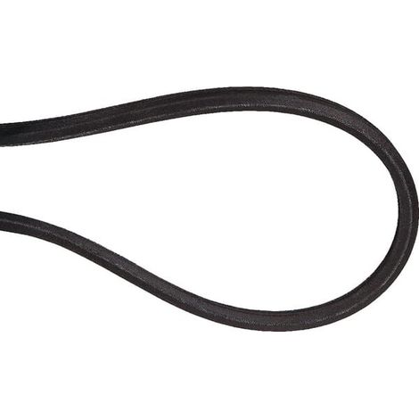 Cinghia esagonale AA125 UNIVERSALE AA125 FGP016433 (1/2)