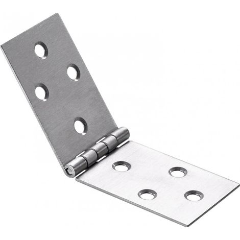 HETTICH Charnière universelle inox pour meuble, L.40 x l.120 mm
