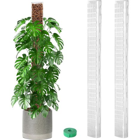 Tuteur en mousse plastique pour plantes grimpantes, support monstera et semis, perche à lierre, Composition : 2 tuteurs + 1 velcro + 3 clous, Couleur : blanc (1/5)