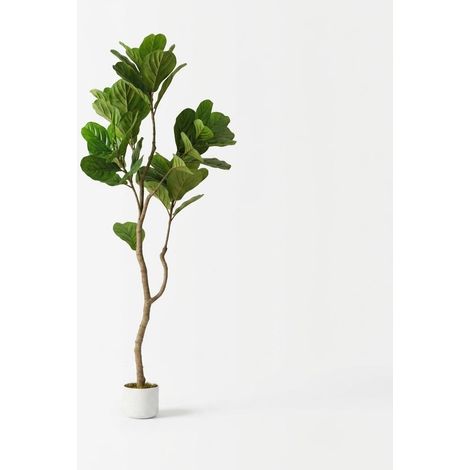 Figuier Lyre Artificiel 155cm, Plante PEVA Réaliste avec Pot, Déco Intérieur Extérieur Maison Bureau (1/5)