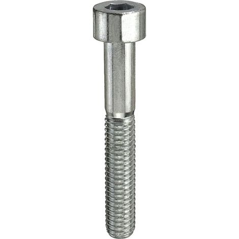 Bulloni t.esag.m6x20 pz.8