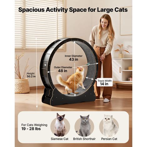 Roue pour Chat 120 cm Roue d'Exercice pour Chat 8,6-12,7 kg Tapis Roulant pour Chats Intérieur pour Course Marche Entraînement, avec Piste Recouverte de Moquette, Mécanisme de Verrouillage, Noir (1/5)