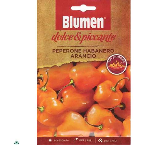 BUSTINA CON SEMI DI PEPERONE HABANERO ARANCIO PICCANTISSIMO