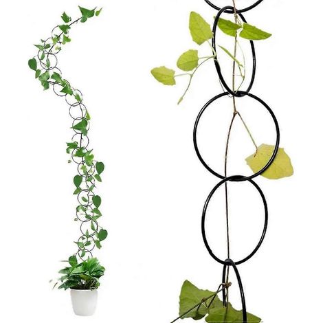 18 tuteurs métalliques pour plantes grimpantes, pour jardin, balcon ou intérieur/extérieur, adaptés aux plantes grimpantes comme le Monstera. (1/5)