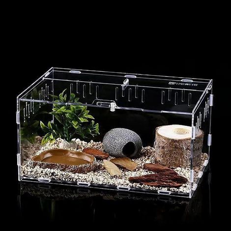 Terrarium tortue terrestre, Boîte à Nourrir en pour Reptiles, Habitat Portable pour Reptiles et Amphibiens, adapté aux araignées, lézards, Grenouilles, grillons(acrylique-302015cm)