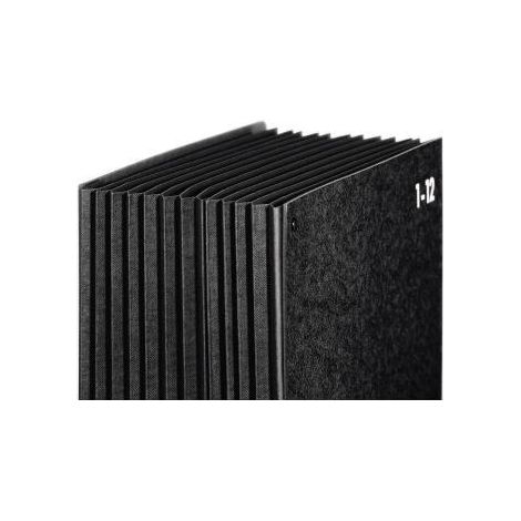 Pultordner Classic DIN A4 1-12 Jan.-Dez. Hartpappe 80 % recycelt schwarz 12 Fächer (1/5)