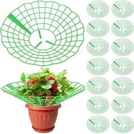 BUNTHAUS 15 Pièces Supports à Fraises, Supports à Plante Amovibles, pour Jardin et Balcon (1/5)