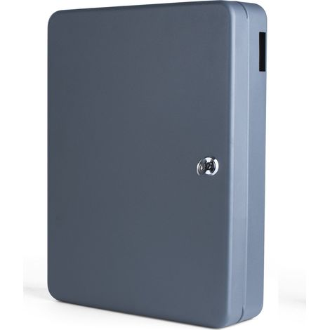 Pavo 8027064 Premium Armadietto Gancetii, Gr, Portachiavi Inclusi, Metal, Grigio Scuro, 140 Chiavi (1/2)