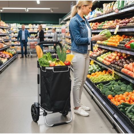 Chariot de courses pliable 40 L en aluminium noir, 3-en-1 gain de place pour courses FloraGrace (1/5)