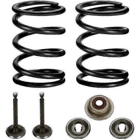 Kit de ressorts de soupapes de compétition 18 lb compatible avec les mini-motos Predator 196cc, 212cc et 224cc (moteur non Hemi GX160 et GX200 6,5 CV OHV). (1/4)
