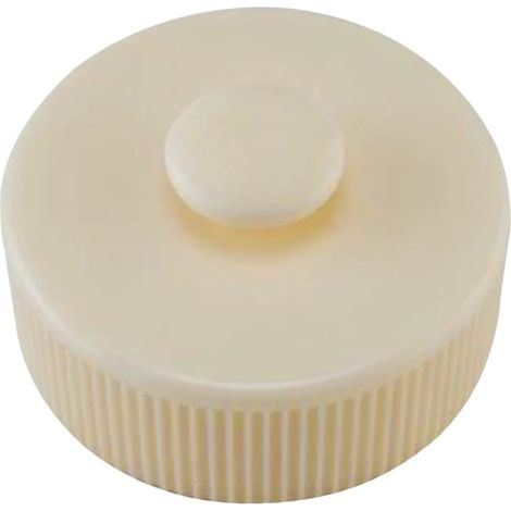 Bouchon de vidange du filtre sable entretien de la piscine (1/5)