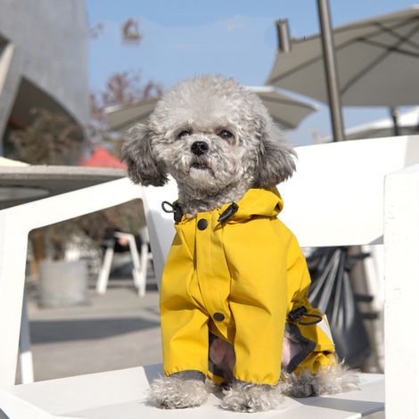 Veste pluie chien petite/moyenne taille capuche pattes bandes réfléchissantes
