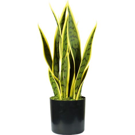 King Home pianta SANSEVIERIA H. 45 cm 12 FOGLIE completa di vaso con muschio