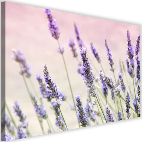 Tableau sur toile Lavande Nature Fleurs 60x40 (1/5)