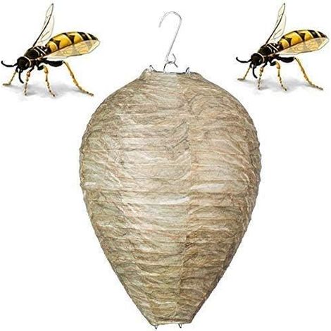 Lot de 3 leurres anti-guêpes naturels, sûrs et écologiques à suspendre, répulsifs contre les guêpes, les frelons et les frelons jaunes, non toxiques (27,9 x 22,1) (1/5)