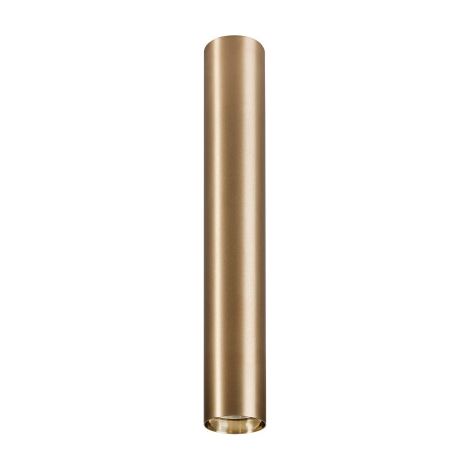 Spot soffitto Nowodvorski Eye in ottone GU10 1 luce