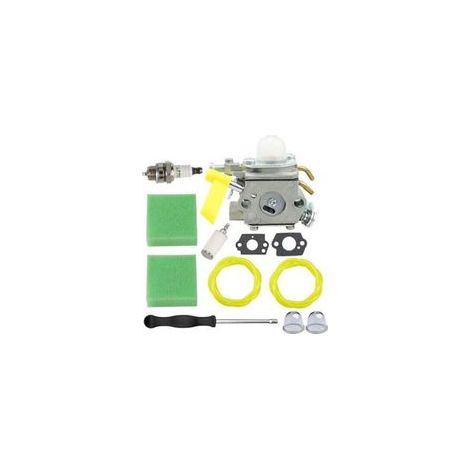 Ryobi 308054043 Vergaser für RY28000, RY28020, CS26, RY28040, SS26, RY09053, RY28021, RY28025, RY09056, RY09055, UT33600A, UT33600 und UT33650 (26 cm³, 30 cm³, 25 cm³) Freischneider.