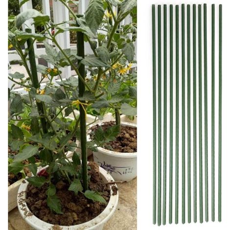 Armature de Plantes 12 Pièces pour Tomates et Concombres Serre Supports Jardinière Tuteur Métal Plastifié 75cm/0.75m Durable Multifonction (1/5)