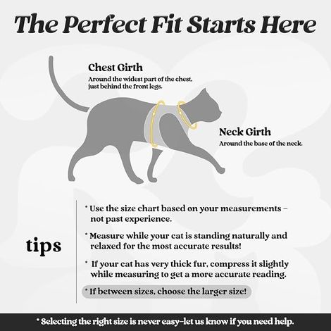 Cat Harness with Lead, Breathable Kitten Harness and Reflective Band Vest Small Dog Adjustable Black M Animal Collar for Persian Ragdoll American Shorthair Puppy Rabbit (1/4)
