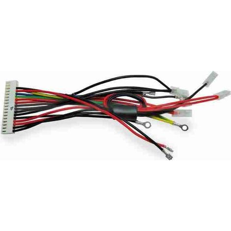 CA1882R01.5320 Cableado central ROBUS RB1000 Recambio original NICE CA1882R01.5320