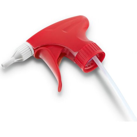 Sprayer rouge Kärcher avec duo de mousse