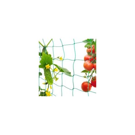 Rete da giardino, rete per piante rampicanti, rete a traliccio per la raccolta di cetrioli, verdure, pomodori e altri ortaggi, rete di supporto per piante rampicanti (1,8 x 3,6 m) - Crezuo