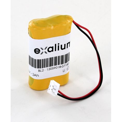 Pile lithium 6V 2Ah pour Alarme Cesar Label (BL2) (1/2)