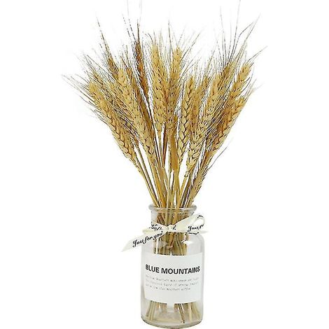 Kit de 1 fleur séchée et vase (1/3)