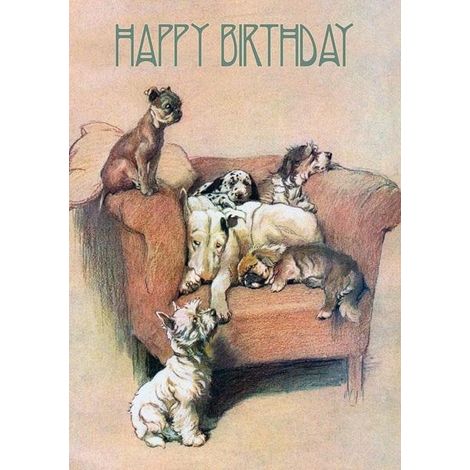 Biglietto d'auguri B6 con busta, cani su una sedia.