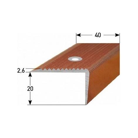 Treppenkante / Treppenkantenprofil / Winkelprofil (Größe 20 mm x 40 mm) aus Aluminium, mit abriebfester Spezialemaillierung, gebohrt, von Auer Metall -schwarz-1000