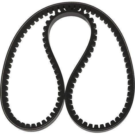 1x Courroie d’Alternateur R97758 T20334 Compatible avec 2040 2130 2240 2250 (1/5)