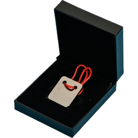 Grattoir manuel, 3 x 2,5 cm, en acier, pour nettoyer, enlever les résidus et entretenir les surfaces.-AquaForge (1/5)