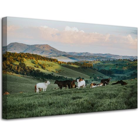 Lienzo impreso Naturaleza, pastos y vacas, 80x50 cm