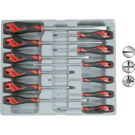 Juego de 12 destornilladores MD912N TENGTOOLS (1/2)