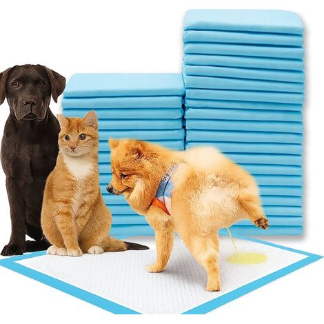 50er-Packung, hygienische Hundematten, 45 x 60 cm, blau, PrzydaSie.pl (1/5)