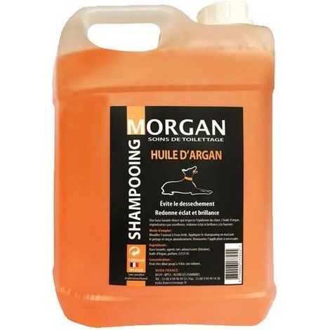 Shampoing à l'huile d'Argan Morgan : 5 litres