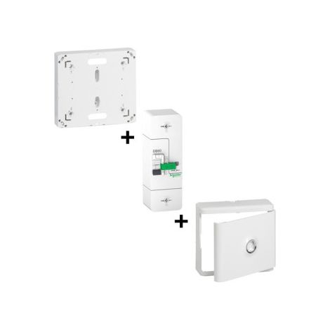 Schneider - DB EDF 60A Instantanu00e9 + Platine Legrand + Porte avec Habillage Legrand - 500mA - Ru00e9f. : R9FT660+401191+401185 (1/4)