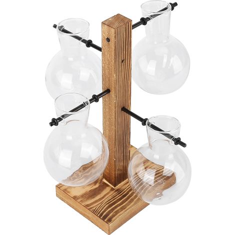 Vase hydroponique innovant avec support en bois, vase de bureau transparent pour la maison (1/5)