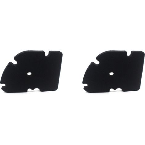 Zwei Motorrad-Luftfilter für GTS, GTV 250, 300, 200, 60, 250, Super 300 und MP3 250.