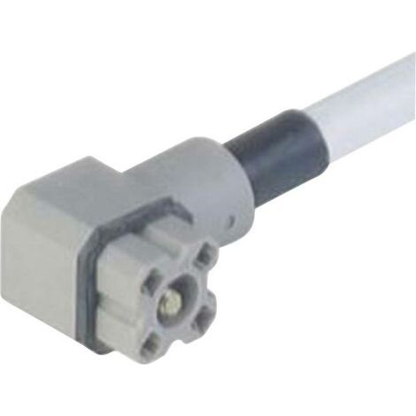 Connecteur pour tension de commande série G Hirschmann G 4 KW 1 F 2M 931 805-602-1 gris Pôle:4 1 pc(s) D23971 (1/2)