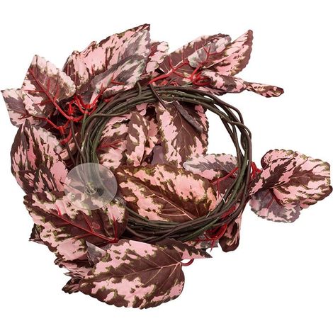 Pianta sospesa Repti-Zoo 190 cm - Begonia (1/4)