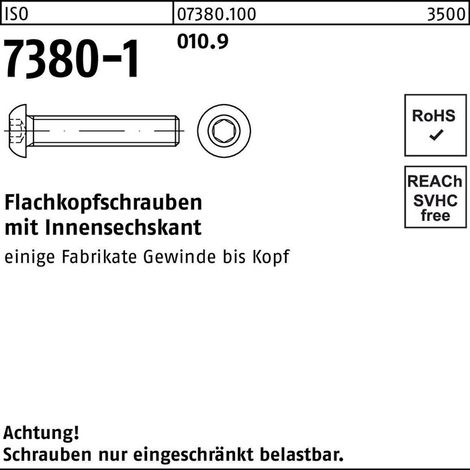 ISO 7380-1 Flachkopfschraube VG M6x6 Stahl 10.9 blank Innensechskant 500 Stk