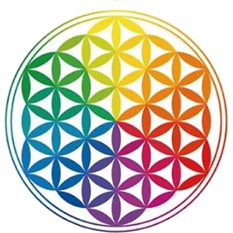 Sticker pour Fenêtres Fleur de vie (1/2)