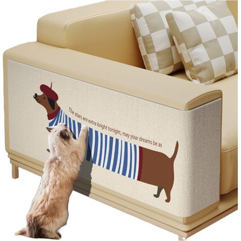 Protecteur anti-griffure en forme pour chat (1/5)