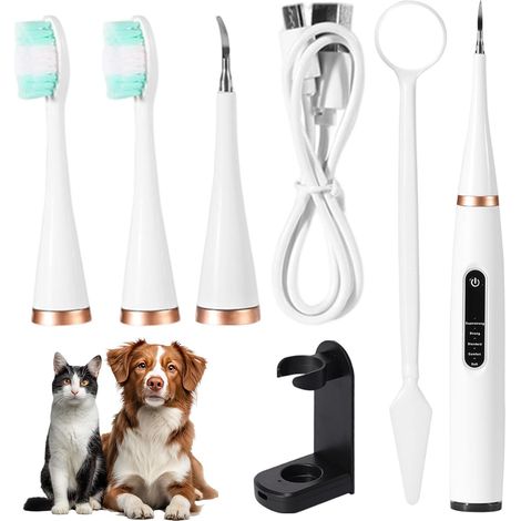 Détartreur Dentaire Ultrasonique Pour Chien Et Chat - 31000 Vibrations Min - 5 Modes Réglables - Appareil étanche Rechargeable - Kit Complet Avec Accessoires (1/5)