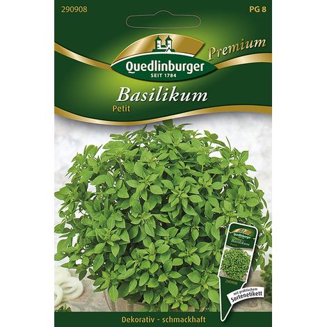 Quedlinburger Basilikum Petit - Premium Kräutersamen